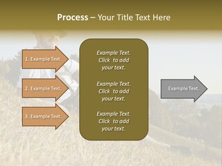 Fresh Munich Nature PowerPoint Template