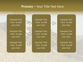 Fresh Munich Nature PowerPoint Template