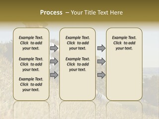 Fresh Munich Nature PowerPoint Template