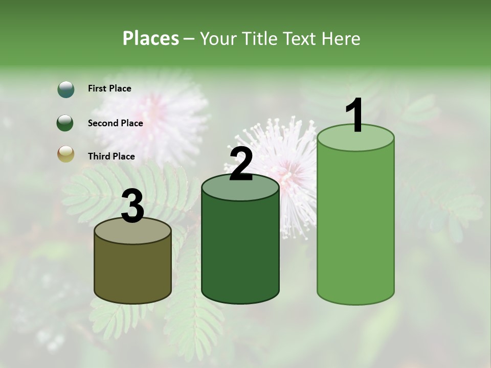 Pink Foliage Flora PowerPoint Template