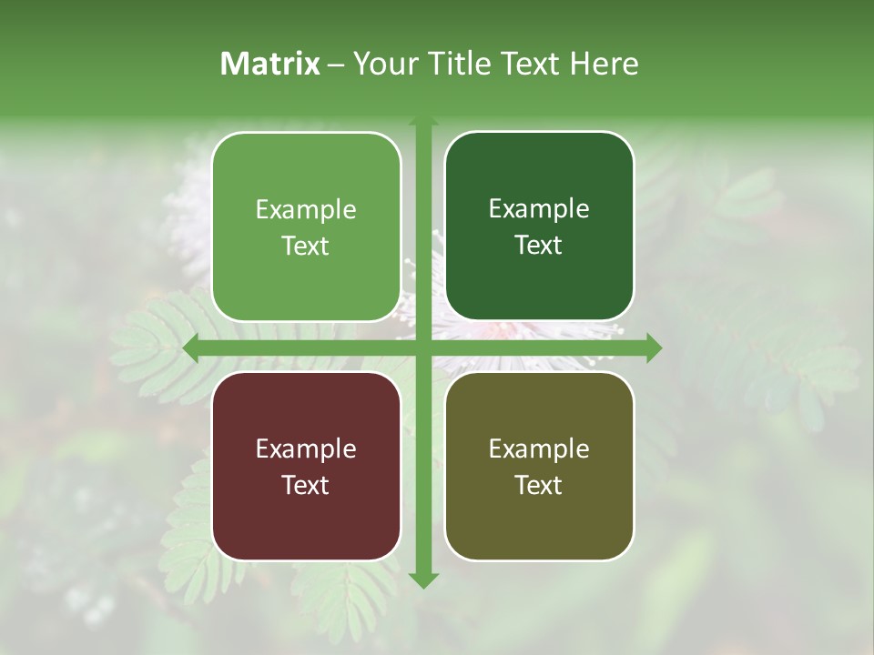 Pink Foliage Flora PowerPoint Template