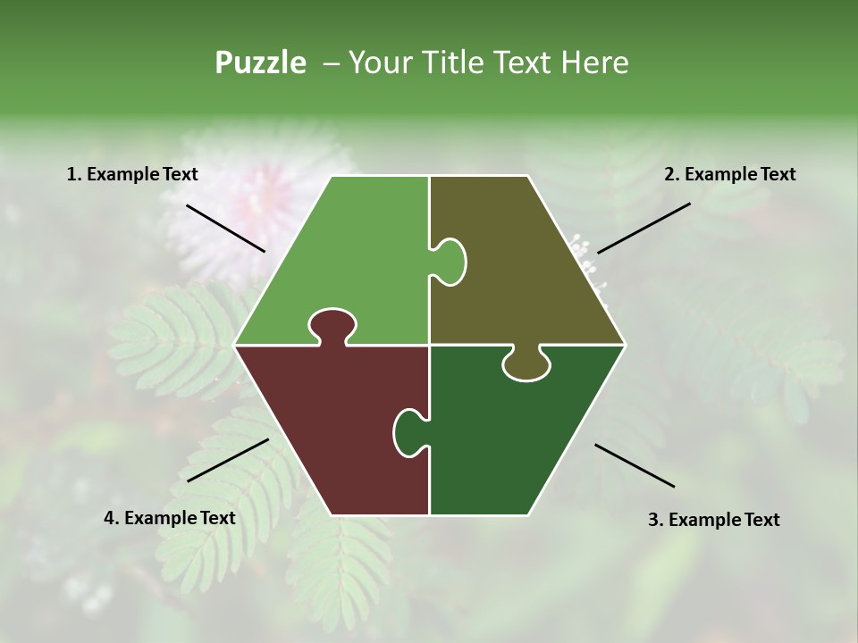 Pink Foliage Flora PowerPoint Template