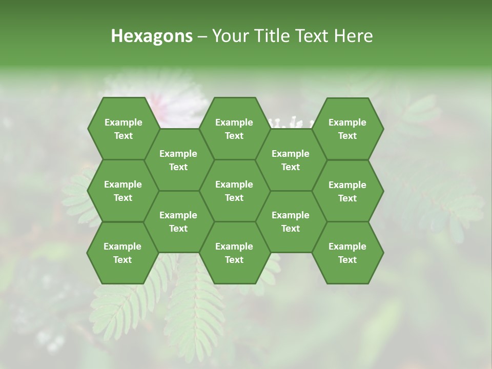 Pink Foliage Flora PowerPoint Template