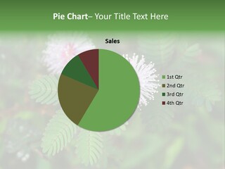 Pink Foliage Flora PowerPoint Template