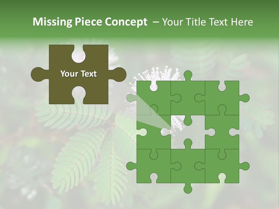 Pink Foliage Flora PowerPoint Template