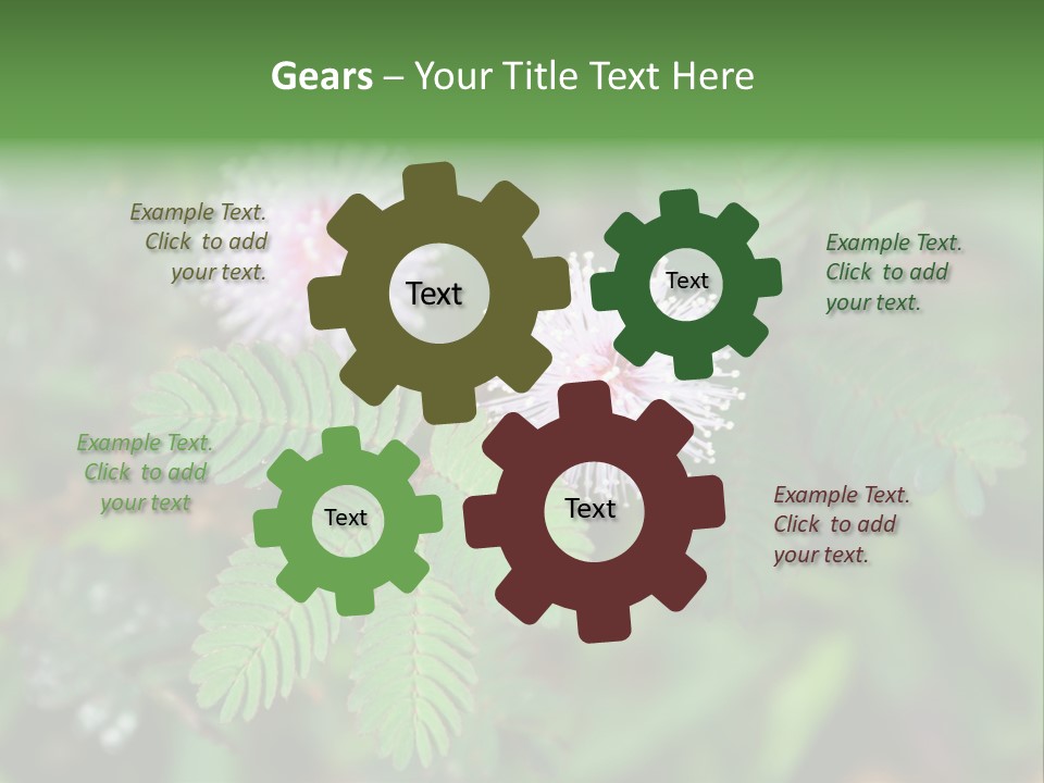 Pink Foliage Flora PowerPoint Template