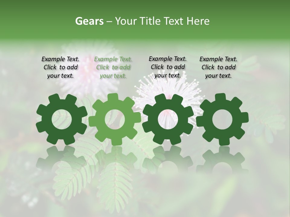 Pink Foliage Flora PowerPoint Template