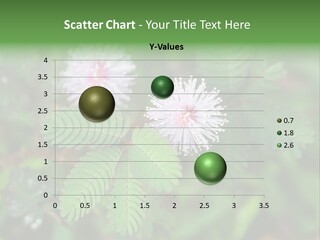 Pink Foliage Flora PowerPoint Template