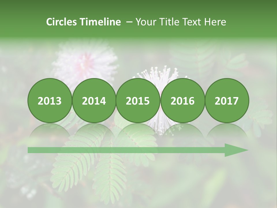 Pink Foliage Flora PowerPoint Template