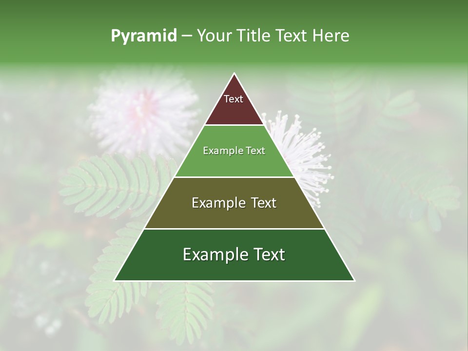 Pink Foliage Flora PowerPoint Template