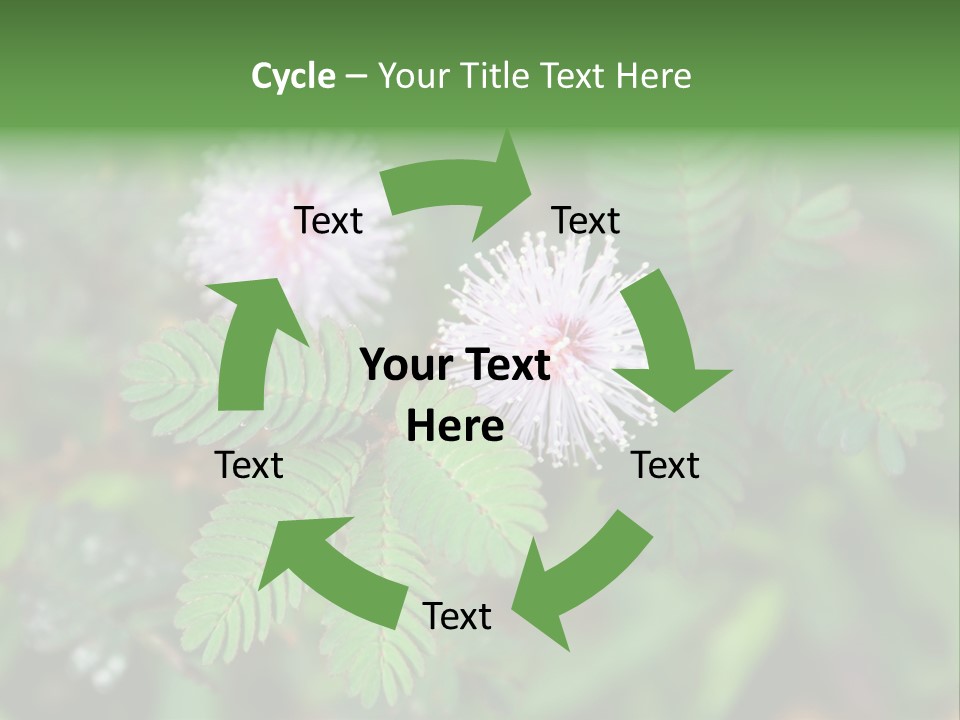 Pink Foliage Flora PowerPoint Template