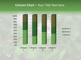 Pink Foliage Flora PowerPoint Template