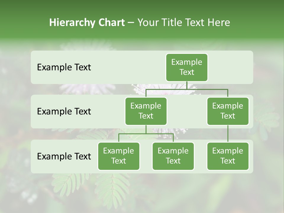 Pink Foliage Flora PowerPoint Template