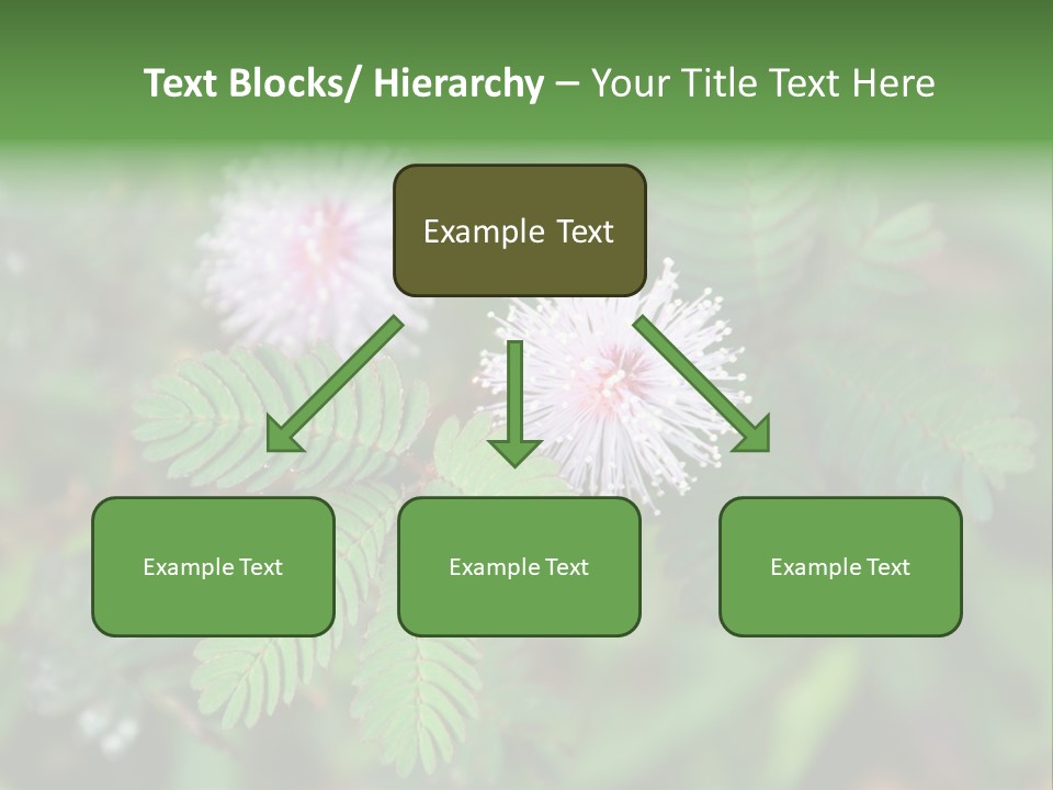 Pink Foliage Flora PowerPoint Template