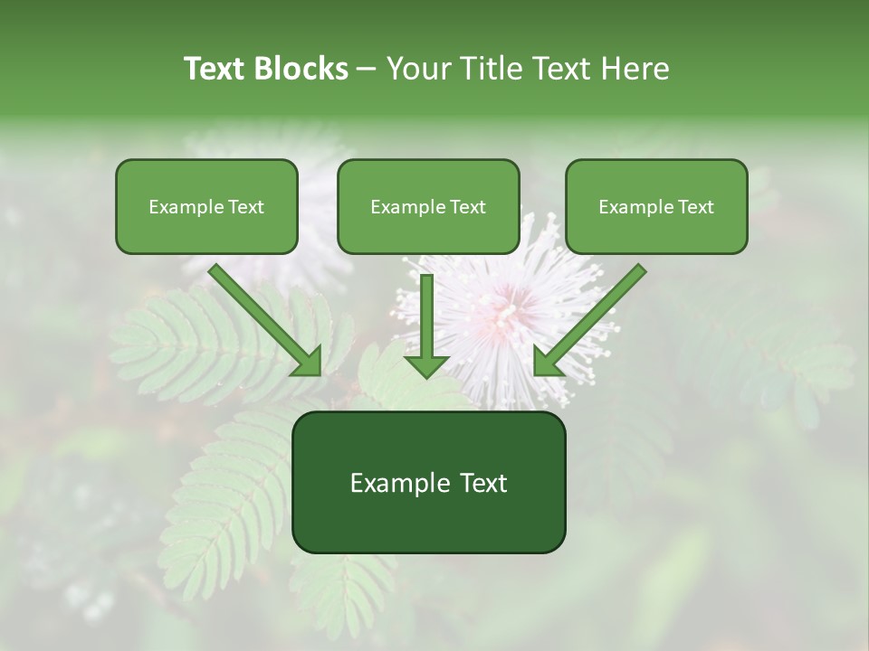 Pink Foliage Flora PowerPoint Template