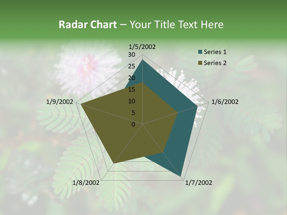 Pink Foliage Flora PowerPoint Template