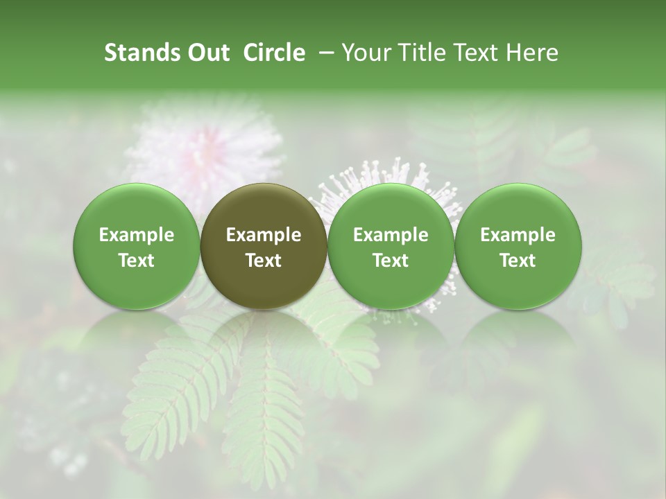 Pink Foliage Flora PowerPoint Template