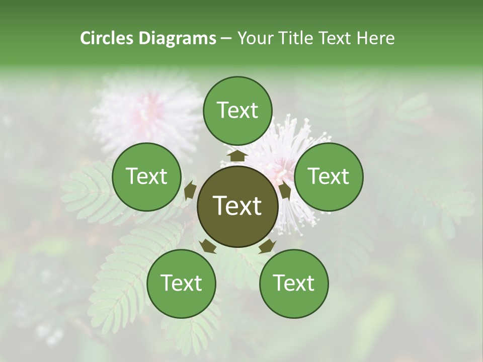 Pink Foliage Flora PowerPoint Template