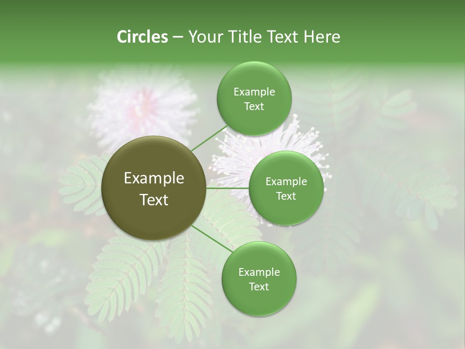 Pink Foliage Flora PowerPoint Template