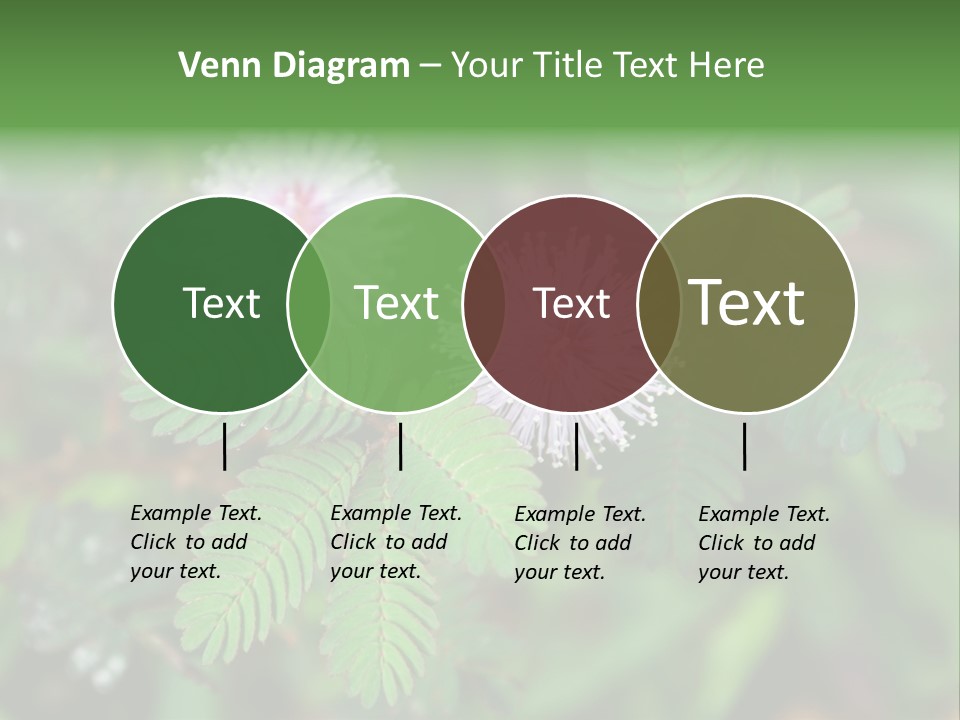 Pink Foliage Flora PowerPoint Template