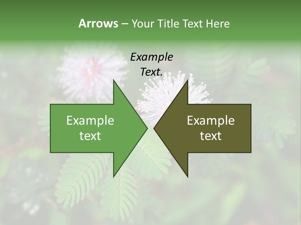 Pink Foliage Flora PowerPoint Template