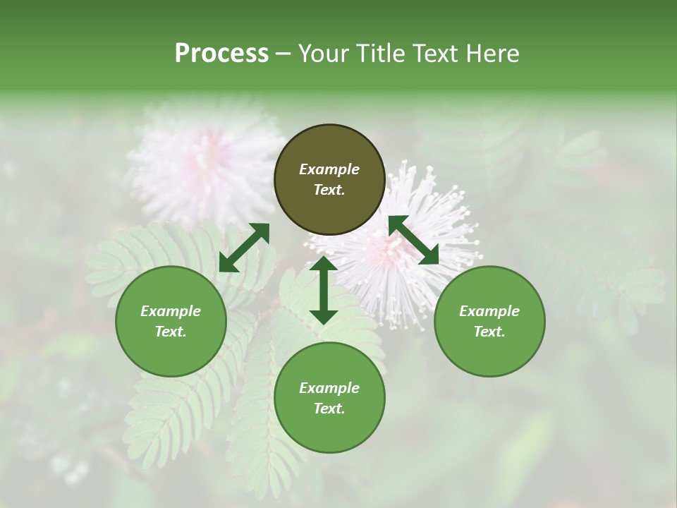 Pink Foliage Flora PowerPoint Template