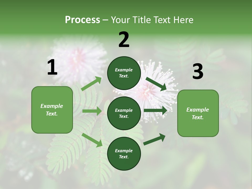 Pink Foliage Flora PowerPoint Template