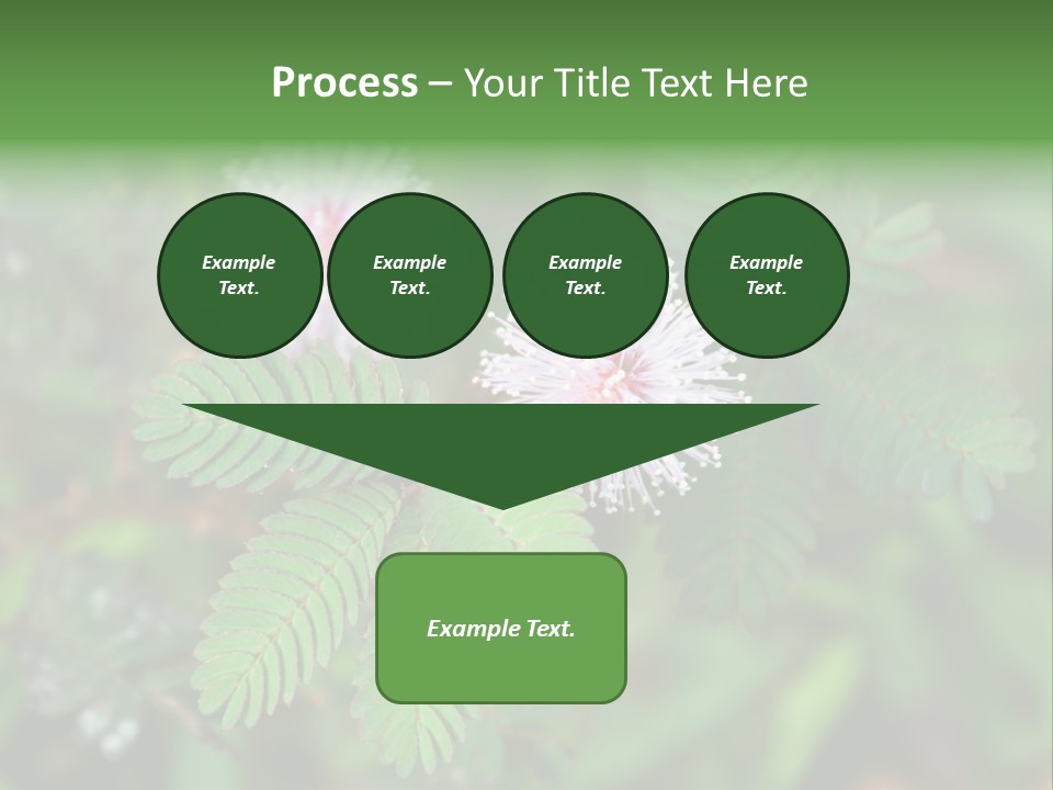 Pink Foliage Flora PowerPoint Template