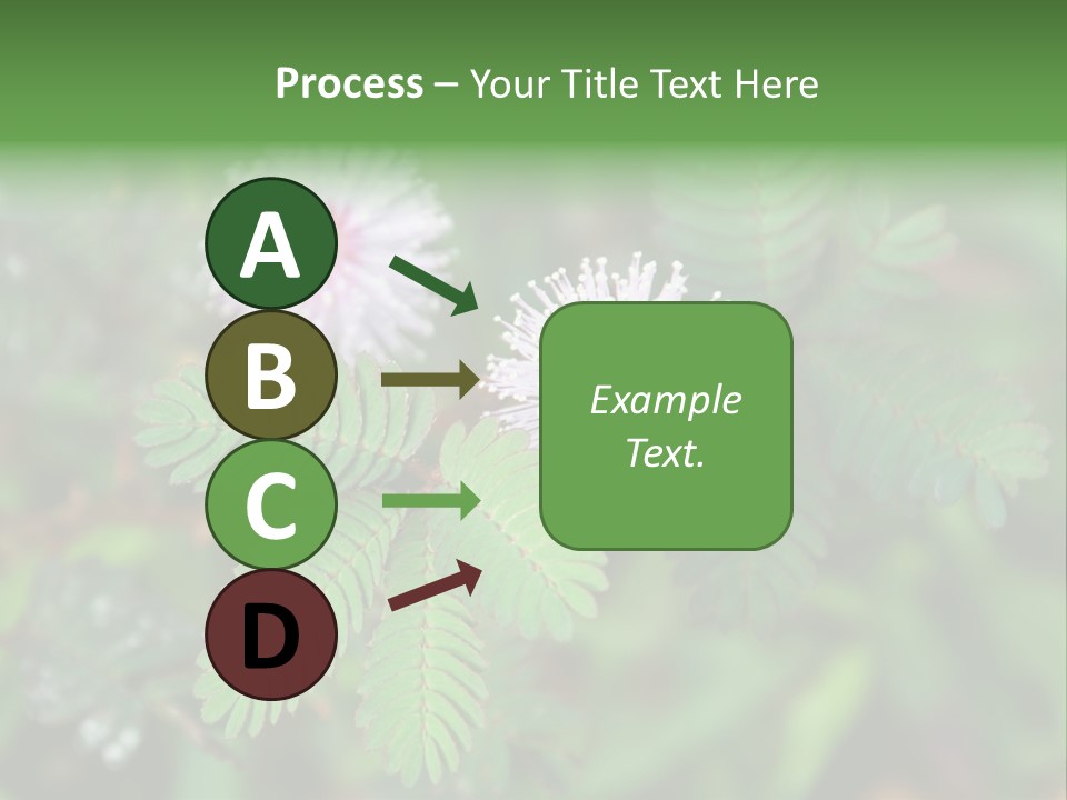 Pink Foliage Flora PowerPoint Template