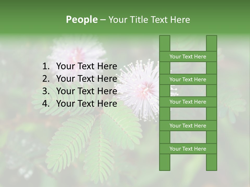 Pink Foliage Flora PowerPoint Template