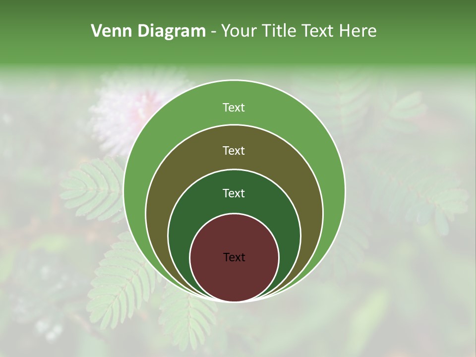 Pink Foliage Flora PowerPoint Template