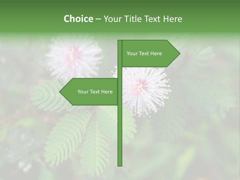 Pink Foliage Flora PowerPoint Template