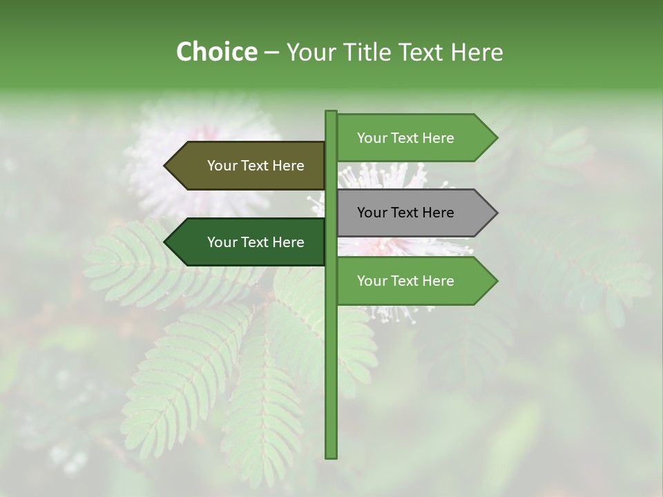 Pink Foliage Flora PowerPoint Template