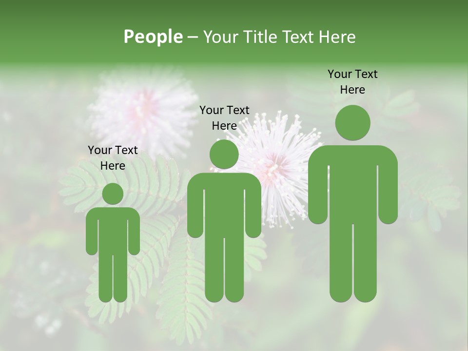 Pink Foliage Flora PowerPoint Template