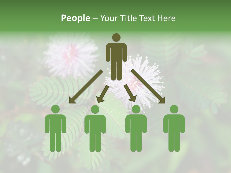 Pink Foliage Flora PowerPoint Template