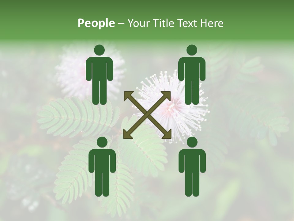 Pink Foliage Flora PowerPoint Template