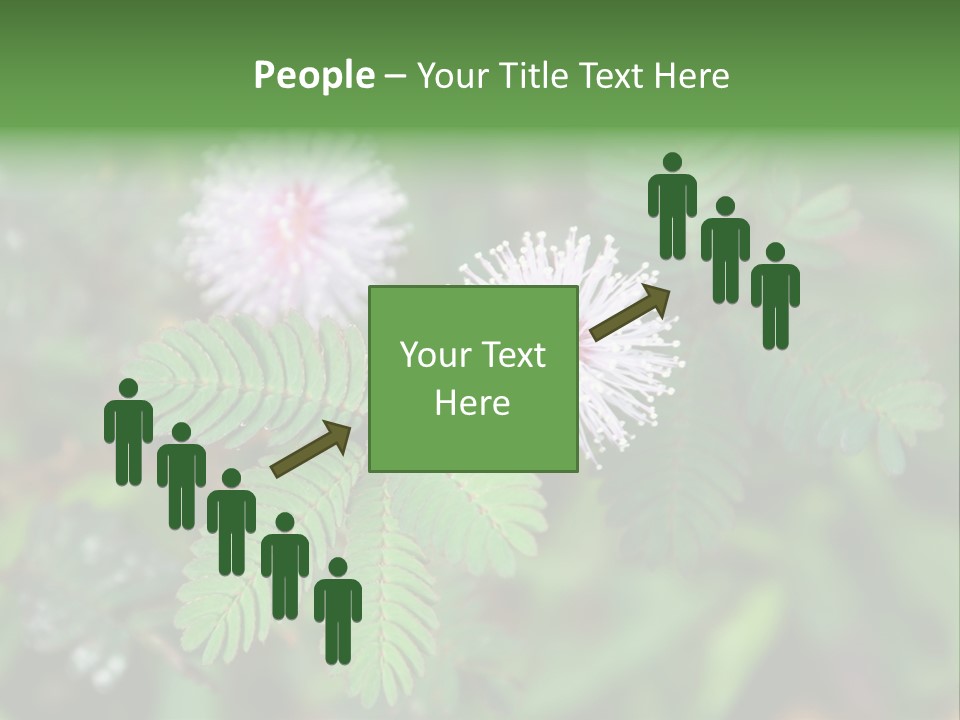 Pink Foliage Flora PowerPoint Template