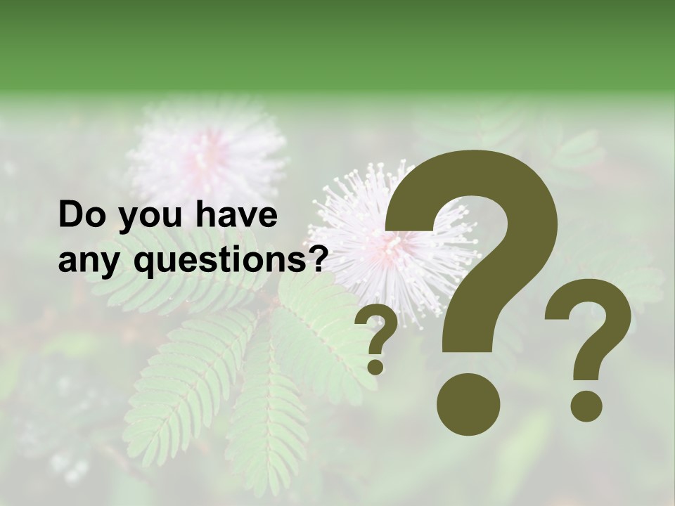 Pink Foliage Flora PowerPoint Template