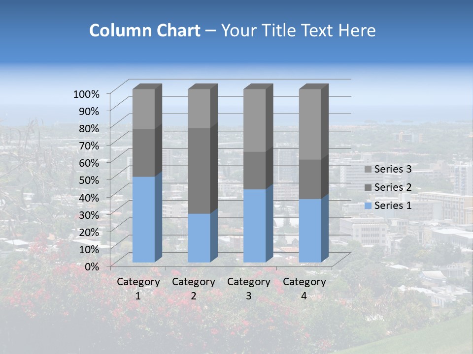 View Puerto Rico Puerto PowerPoint Template