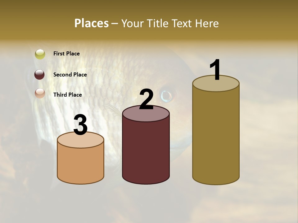 Group Isolated Bubbles PowerPoint Template