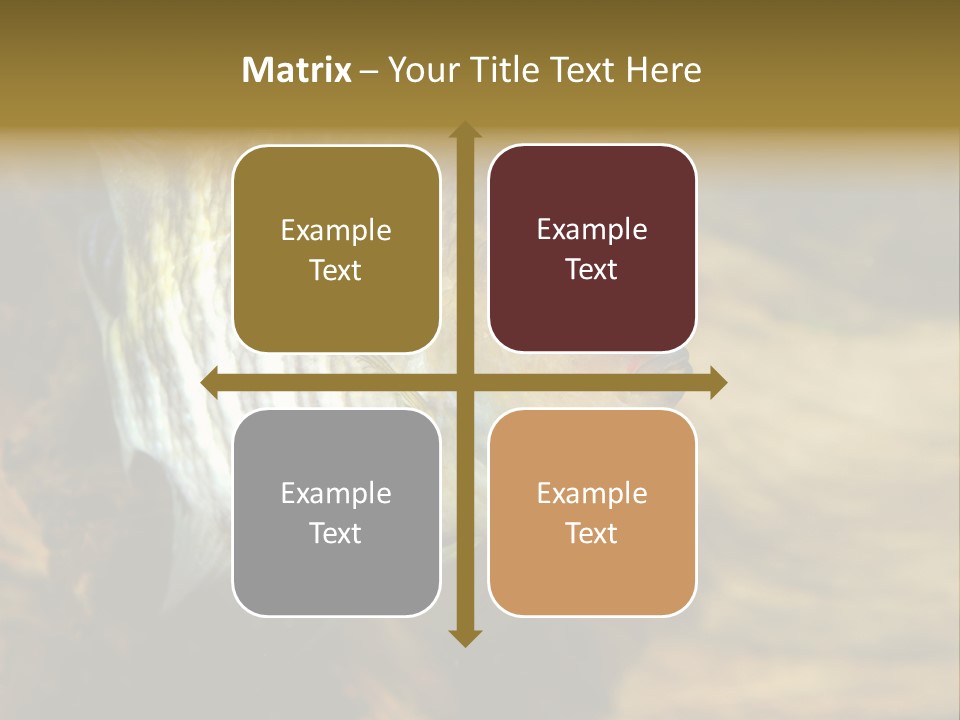 Group Isolated Bubbles PowerPoint Template