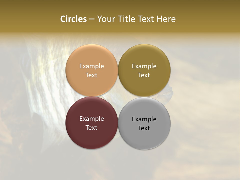 Group Isolated Bubbles PowerPoint Template