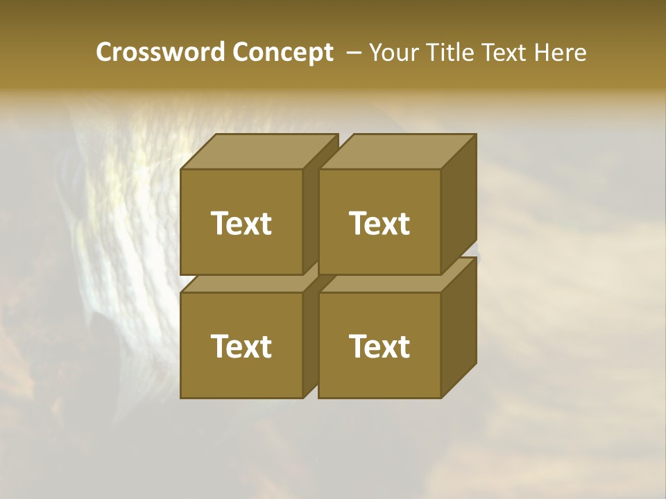 Group Isolated Bubbles PowerPoint Template