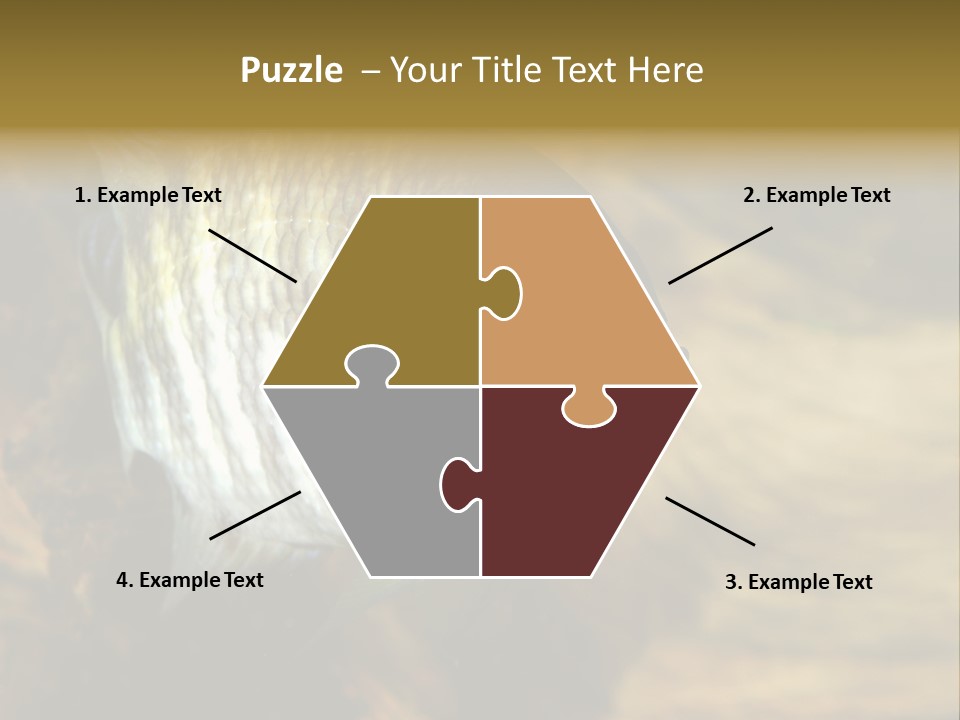 Group Isolated Bubbles PowerPoint Template