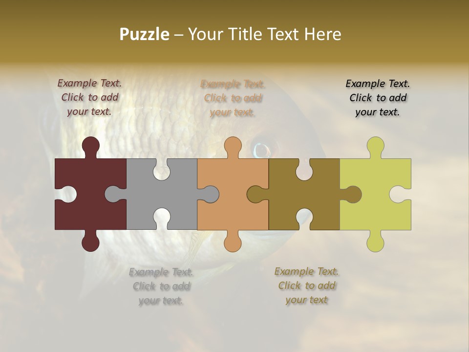 Group Isolated Bubbles PowerPoint Template