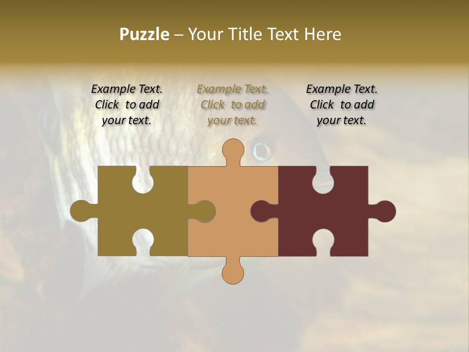 Group Isolated Bubbles PowerPoint Template