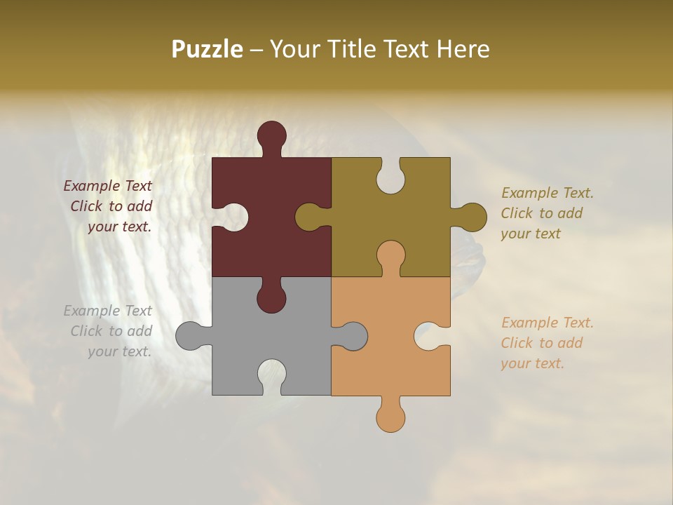 Group Isolated Bubbles PowerPoint Template