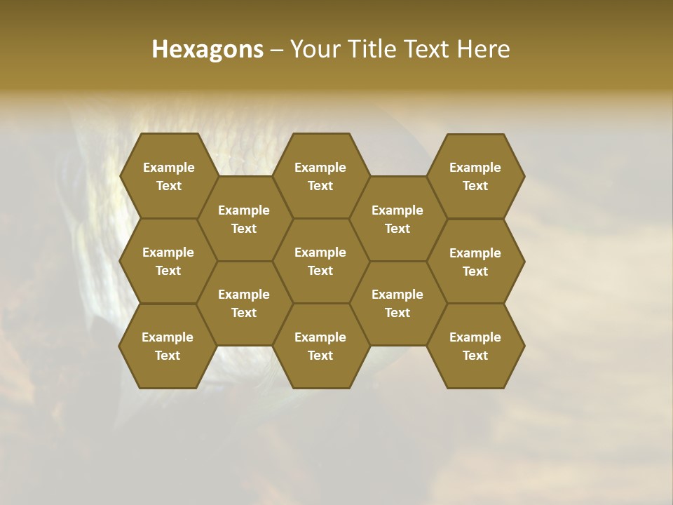 Group Isolated Bubbles PowerPoint Template