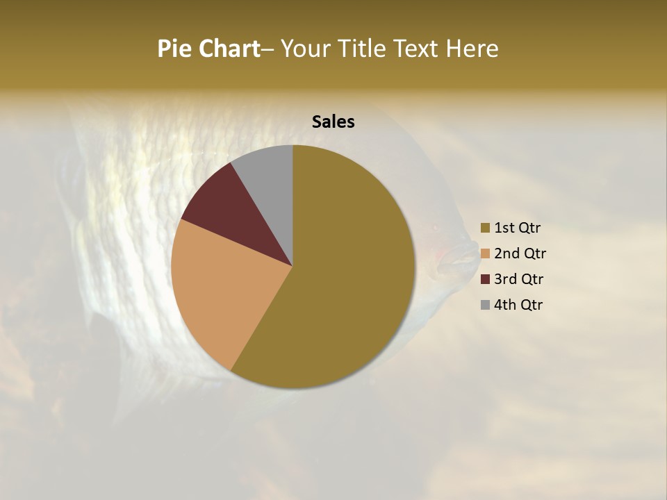 Group Isolated Bubbles PowerPoint Template