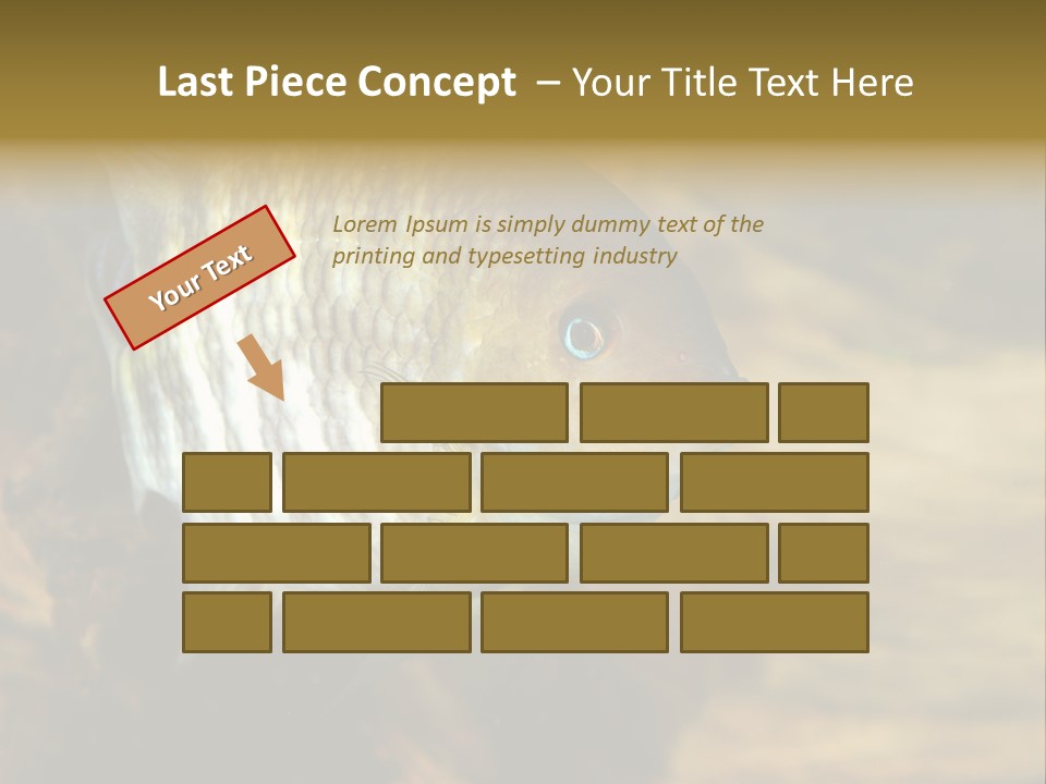 Group Isolated Bubbles PowerPoint Template